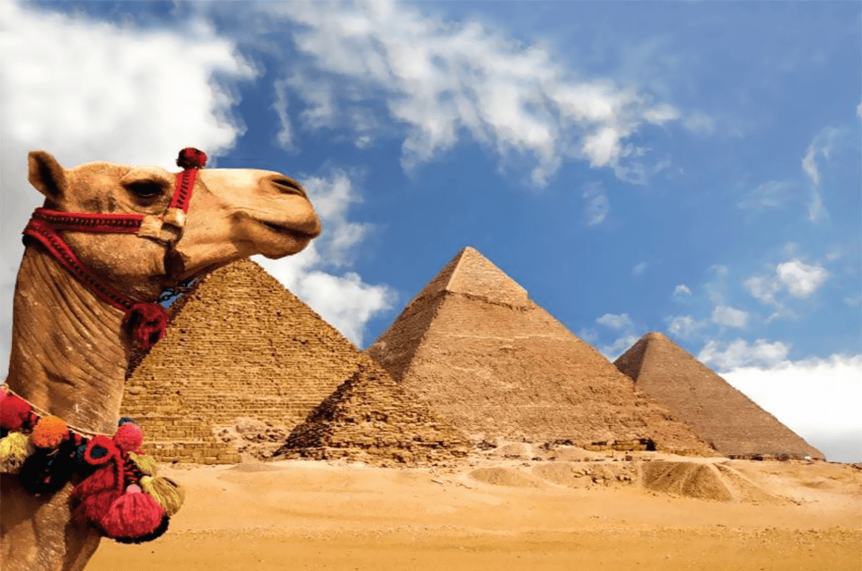 Giza Pyramids, Memphis, Sakkara Tour with lunch and Camel Ride Between Pyramids - Photo 6