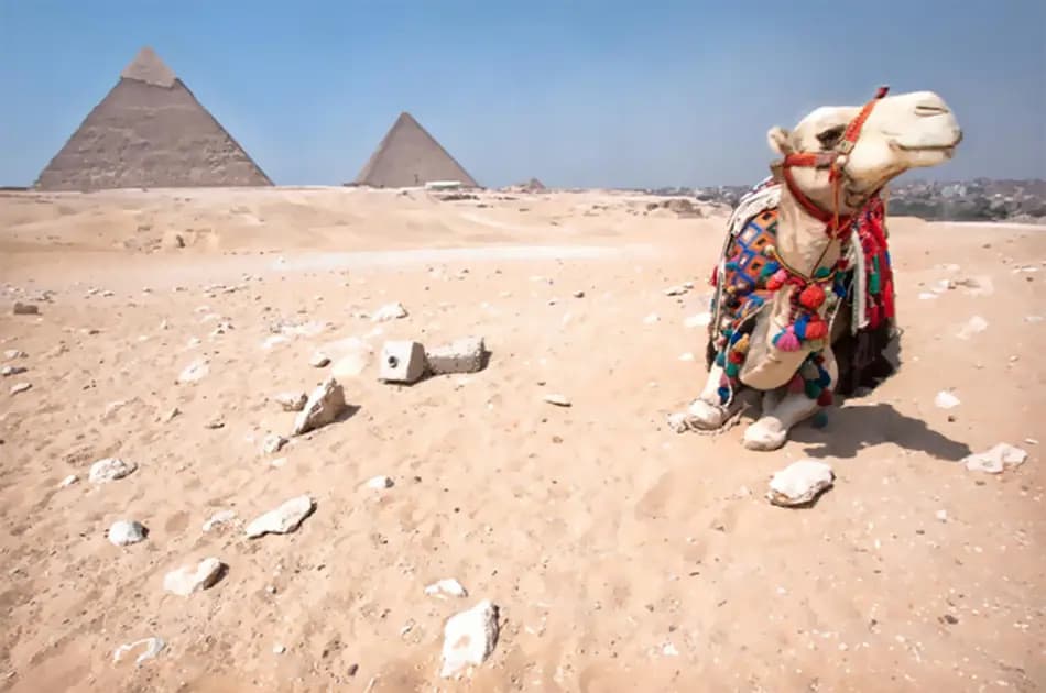 Giza Tour to Pyramids, Camel Ride, Sakkara, Dahshur & Lunch - Photo 10