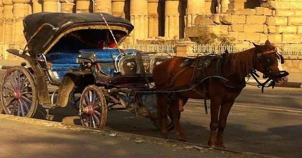 Luxor Private City Tour By Horse & Carriage - Photo 1