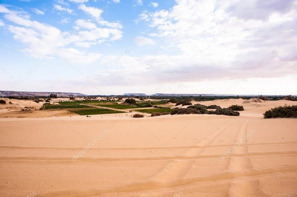 Overnight in White Desert & Bahariya Oasis - Photo 5