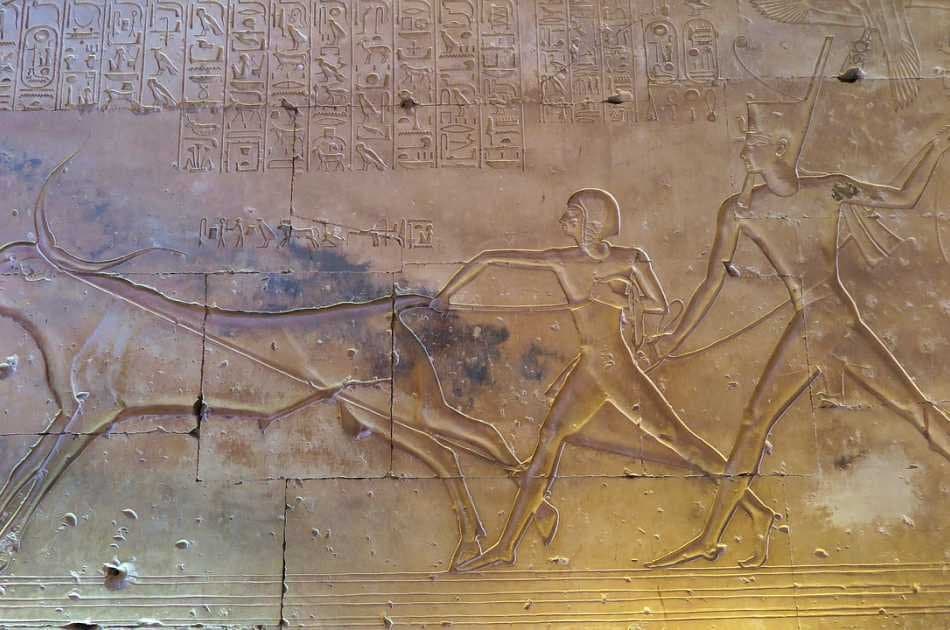 Private Full Day Tour: Dendara & Abydos From Luxor - Photo 3