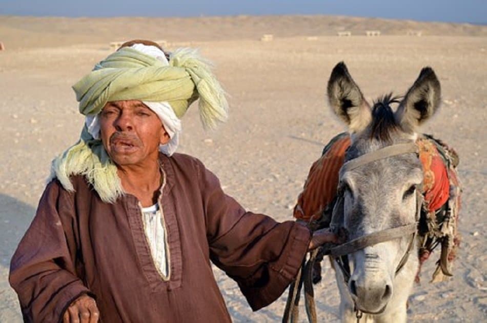 Private Nubian Village Tour by Motorboat - Photo 5