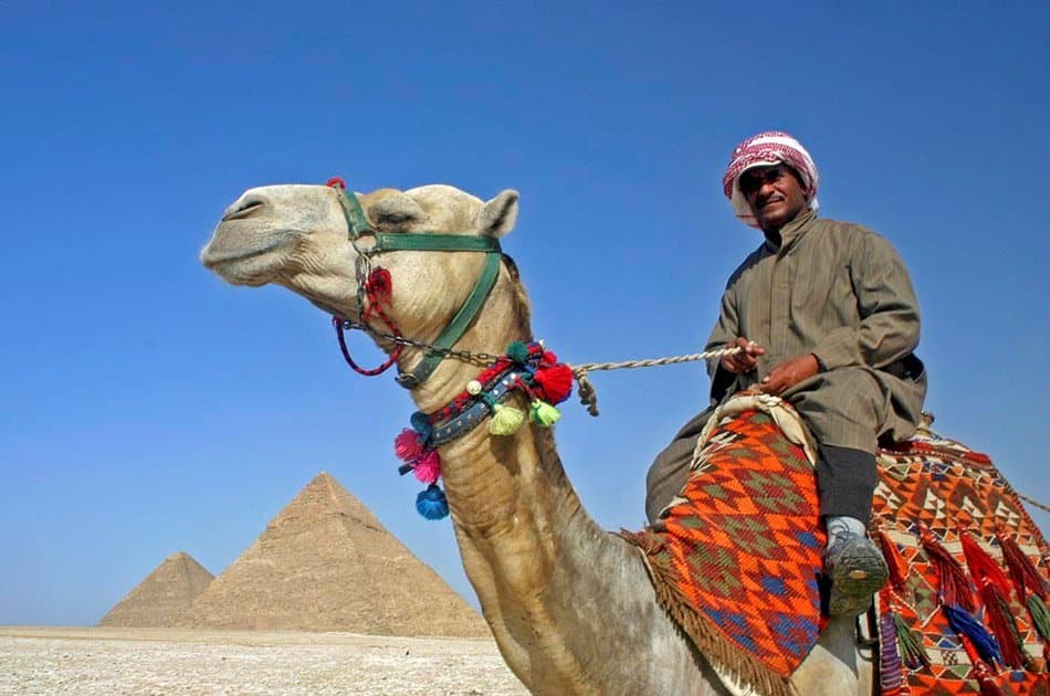 Private Tour to The Great Giza pyramids, The Egyptian Museum and Bazaar - Photo 6