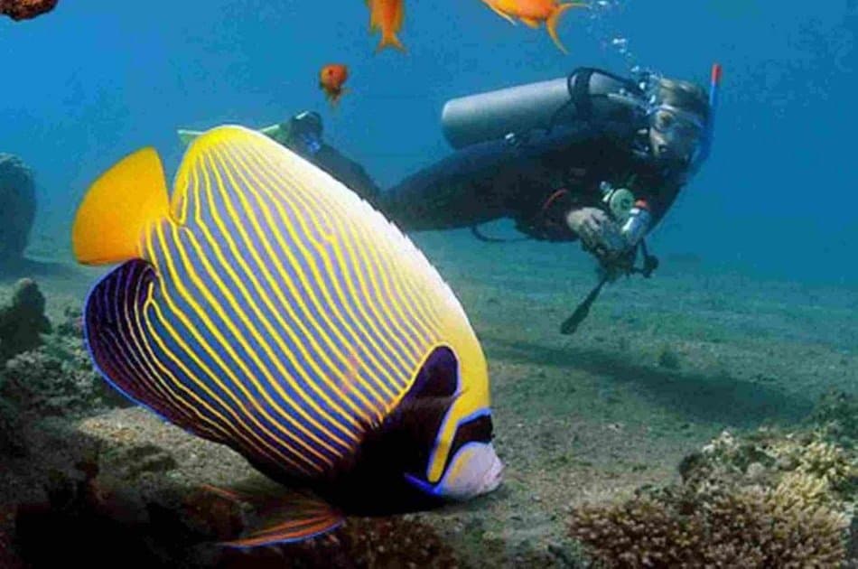 Snorkeling and recreational trip to Sharm El Naga Bay from Hurghada - Photo 2