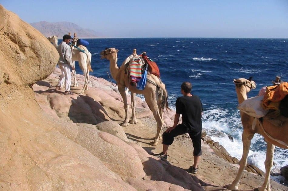 Snorkeling and recreational trip to Sharm El Naga Bay from Hurghada - Photo 3