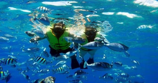 Snorkeling and recreational trip to Sharm El Naga Bay from Hurghada - Photo 1
