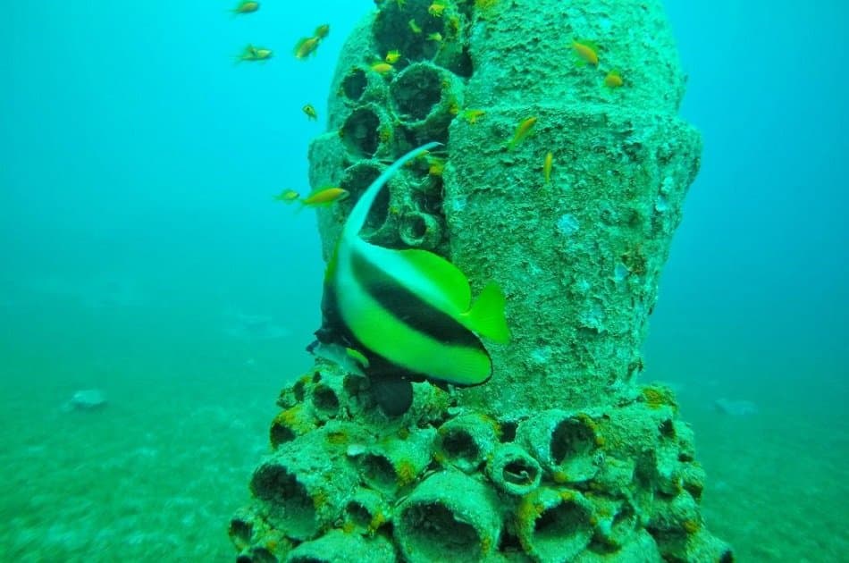 Snorkeling at Giftun Island in Hurghada - Photo 6