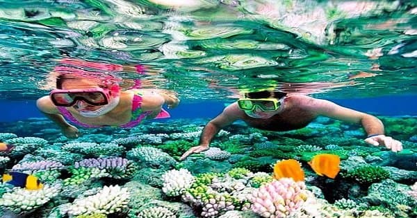 Snorkeling at Giftun Island in Hurghada - Photo 1