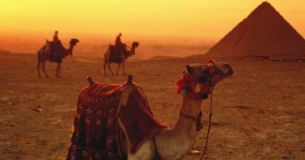 Sunrise or Sunset Camel Ride Around the Giza Pyramids Desert - Photo 1