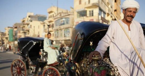 The Pearl Of The Mediterranean Cairo and Alexandria 2 Day Tour From Cairo - Photo 1