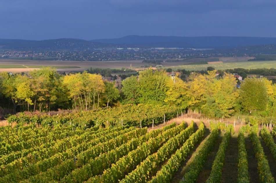 Private Etyek Wine City Tour - Photo 2