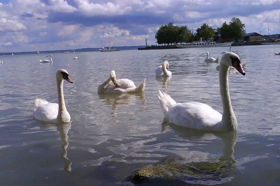 Private Lake Balaton & Herend Tour - Photo 8
