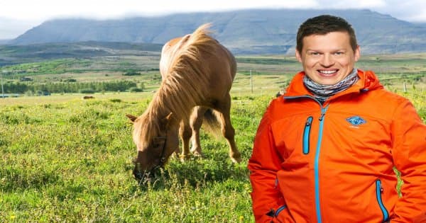 Iceland Viking Horse & Golden Circle Tour - Photo 1