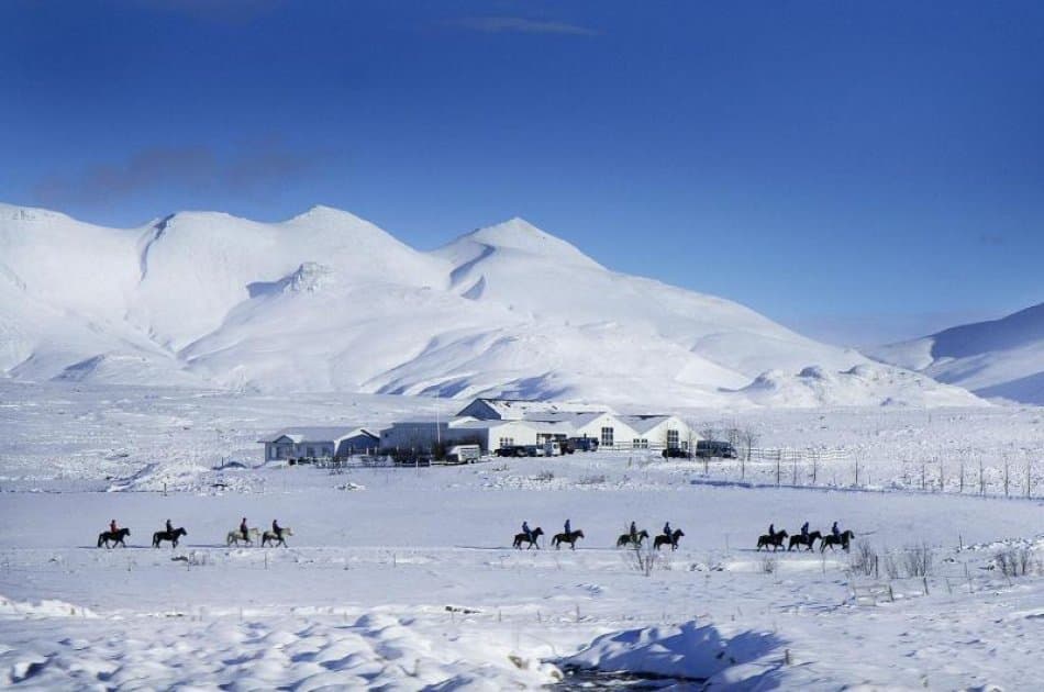 Iceland Viking Horse & Golden Circle Tour - Photo 4
