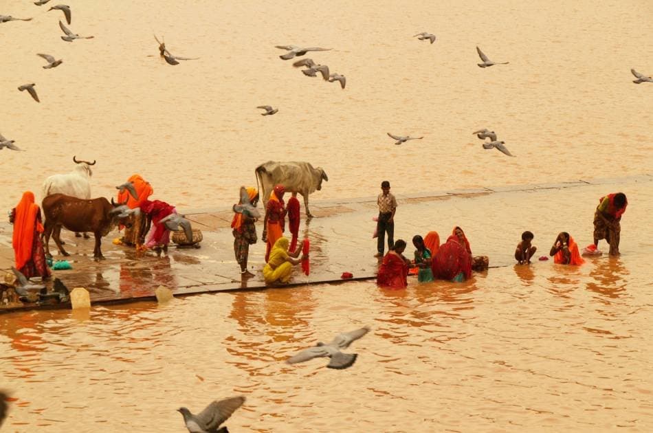 10 Days in Rajasthan - Hotel and Car Inclusive Private Tour - Photo 30