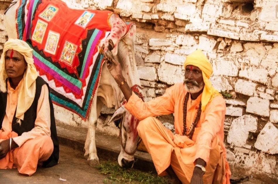10 Days in Rajasthan - Hotel and Car Inclusive Private Tour - Photo 32