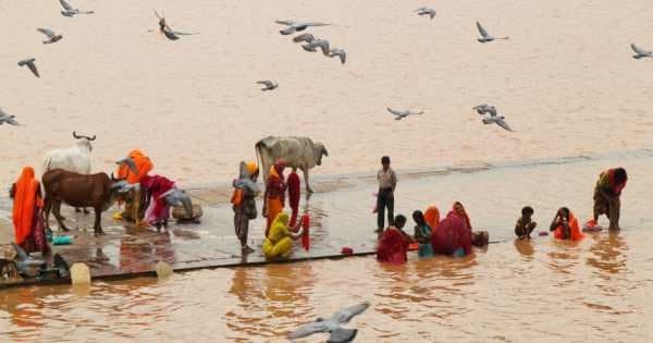 10 Days in Rajasthan - Hotel and Car Inclusive Private Tour - Photo 1