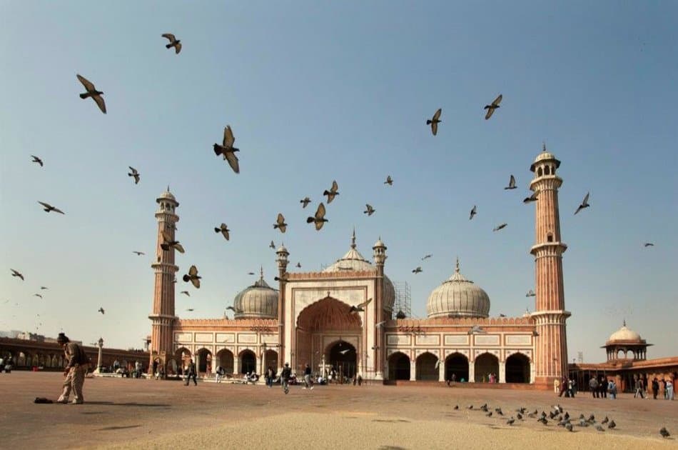 10 Days in Rajasthan - Hotel and Car Inclusive Private Tour - Photo 2