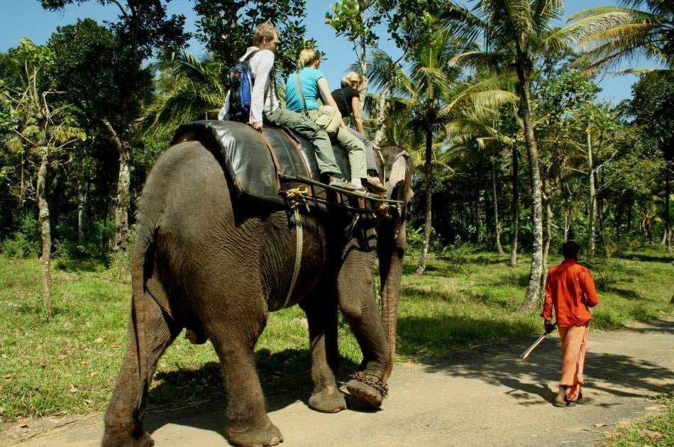 11 Day Guided Private Tour of India - Photo 17