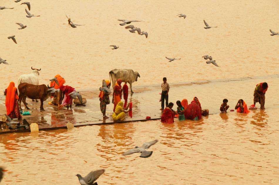 11 Day Guided Private Tour of India - Photo 8