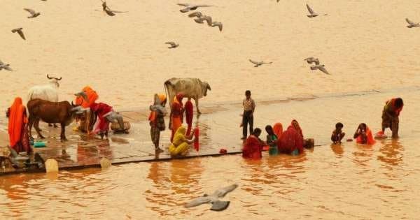 11 Day Guided Private Tour of India - Photo 1