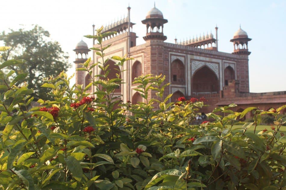 2 Day Private Guided Taj Mahal Tour By Flight From Mumbai - Photo 22