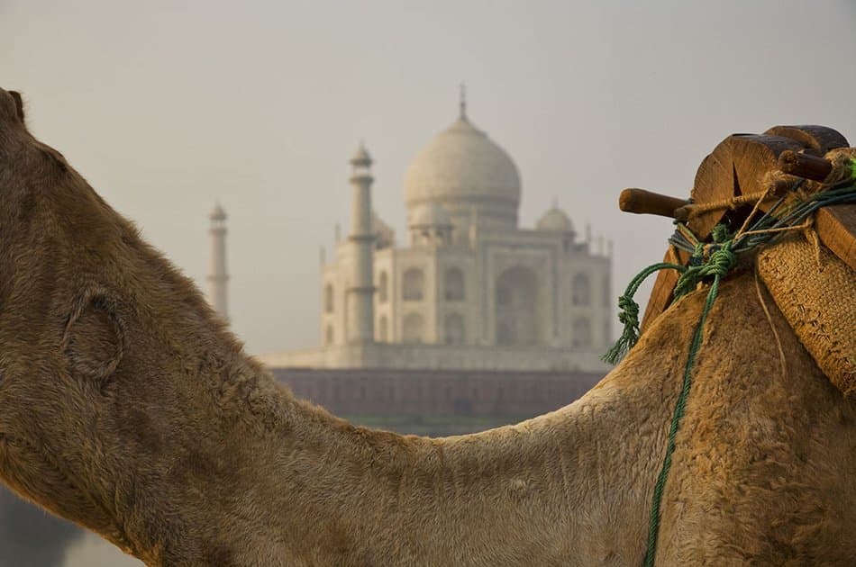2 Day Private Tour Delhi Agra Taj Mahal From Delhi Airport - Photo 7
