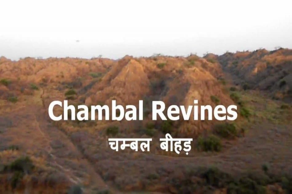 8 Day Golden Triangle And Chambal Safari Experience from Delhi - Photo 3