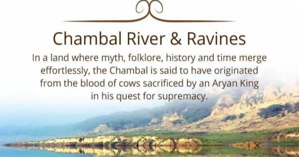 8 Day Golden Triangle And Chambal Safari Experience from Delhi - Photo 1