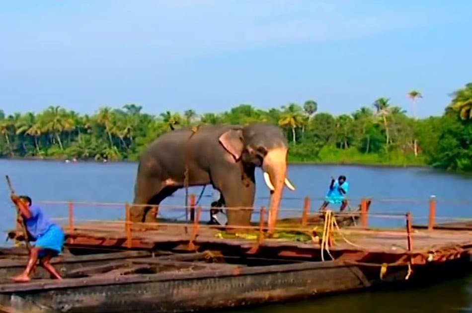 8 Day Kerala Tour from Cochin With Private Vehicle & English Speaking Driver - Photo 7