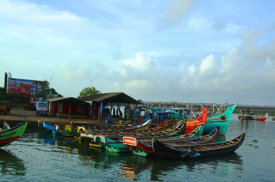8 Day Kerala Tour from Cochin With Private Vehicle & English Speaking Driver - Photo 5