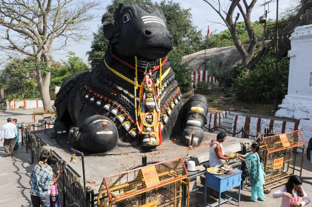 Nandi Bull and Paintings