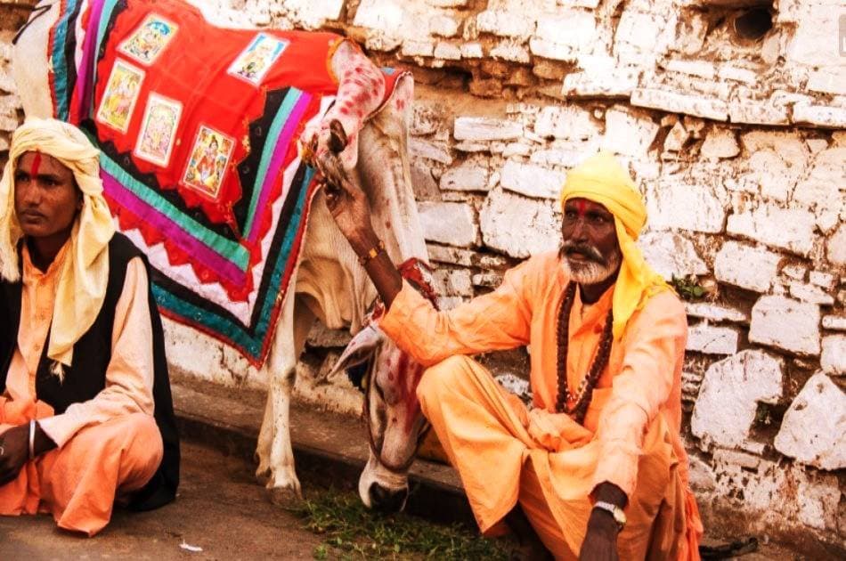 Delhi Agra and Rajasthan Private 10 Days Tour - Photo 21