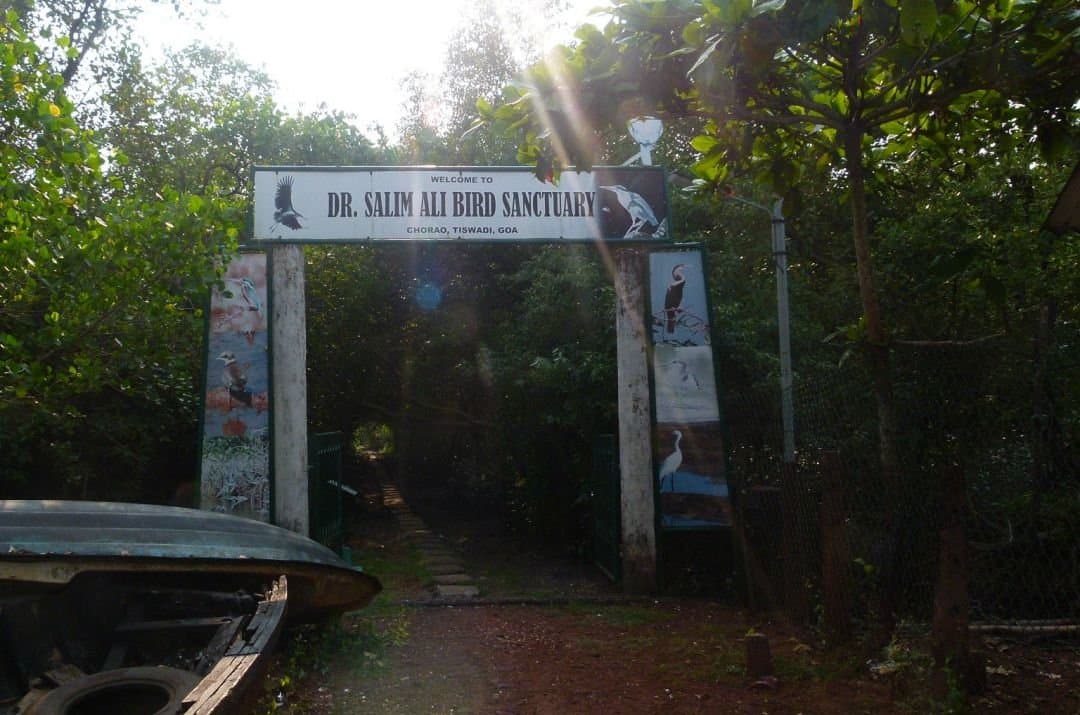 Dr Salim Ali Bird Sanctuary