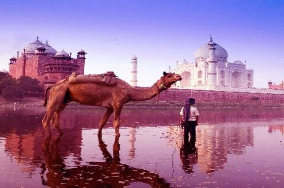 Private Tour: Taj Mahal Sunrise Tour from New Delhi - Photo 5