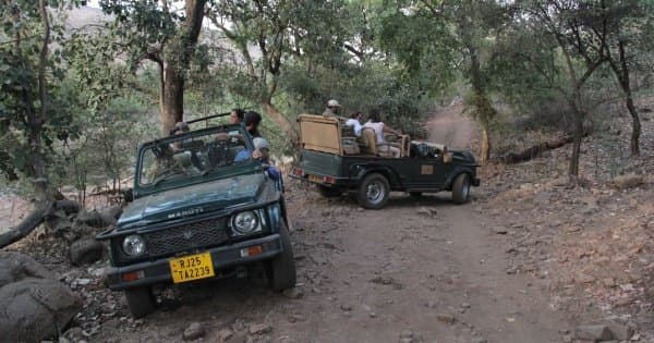 Ranthambhore Tiger Safari Day-Tour from Jaipur - Photo 1
