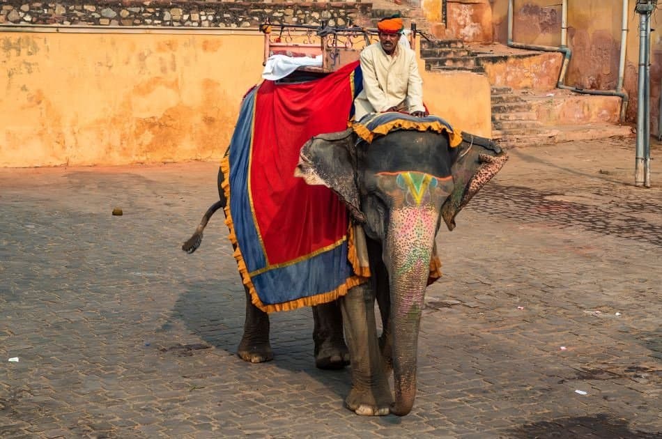 See Glorious India On A Golden Triangle 4-Day Guided Tour from Delhi - Photo 18