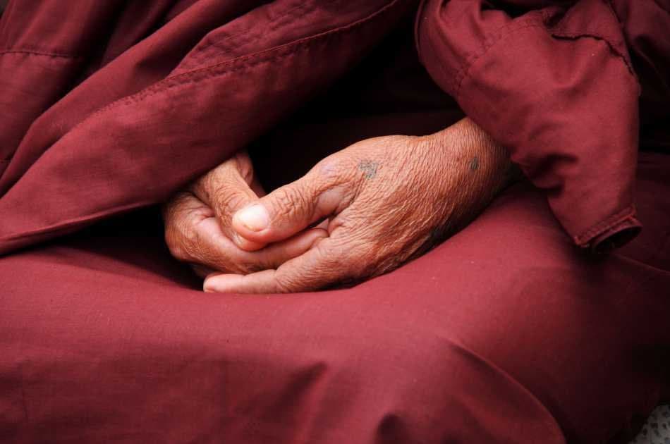 Small Group 7 Day Buddhist Tour India & Nepal - Photo 6