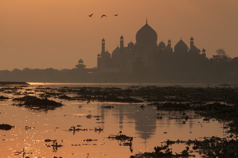 Sunrise Taj Mahal Tour From Delhi By Car And Driver - Photo 16