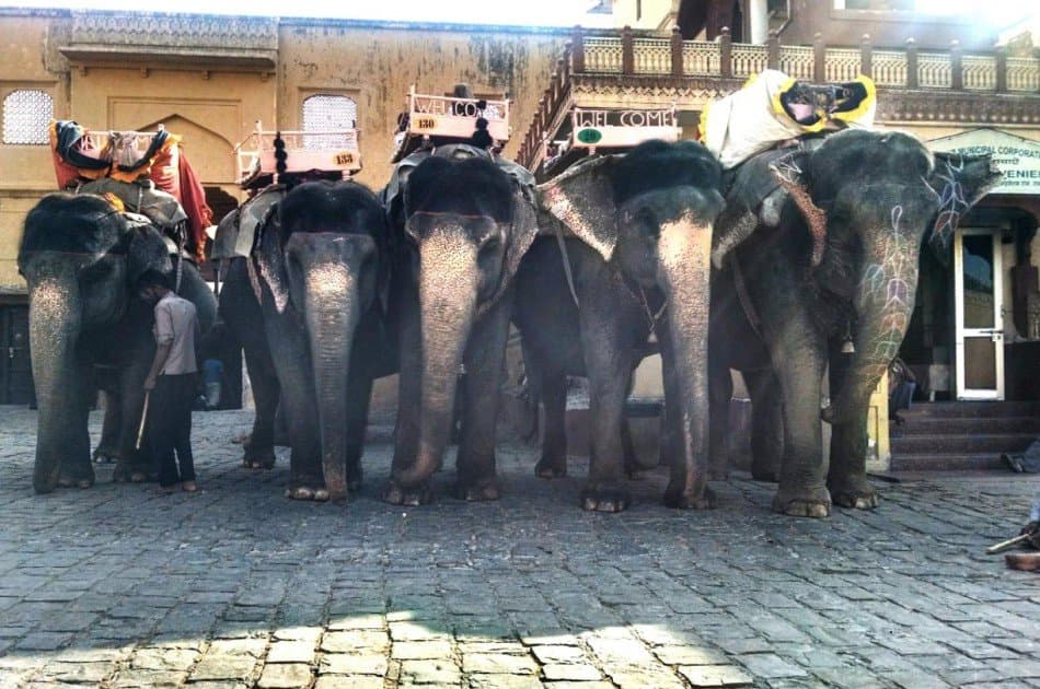 The Golden Triangle Group Tour of India (Delhi, Agra, Jaipur) - Photo 4