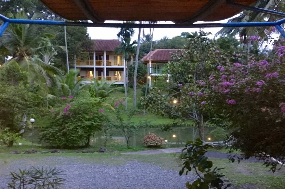 3 Days Medan - Bukit Lawang Orangutans Tour - Photo 4