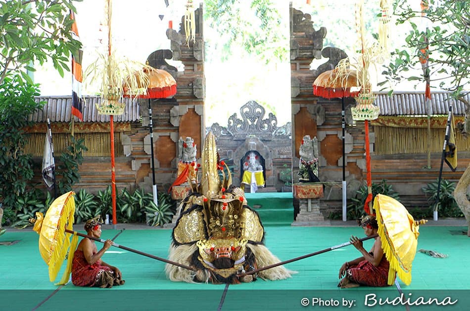 6 Hour Private Tour of Ubud, Monkey Forest, Barong and Rice Terraces With Lunch - Photo 27