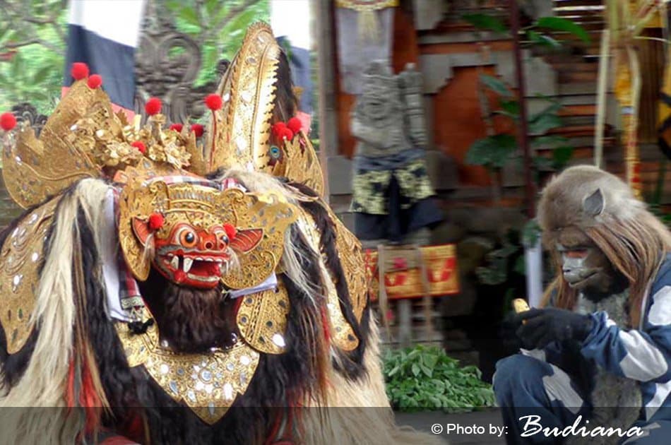 6 Hour Private Tour of Ubud, Monkey Forest, Barong and Rice Terraces With Lunch - Photo 28