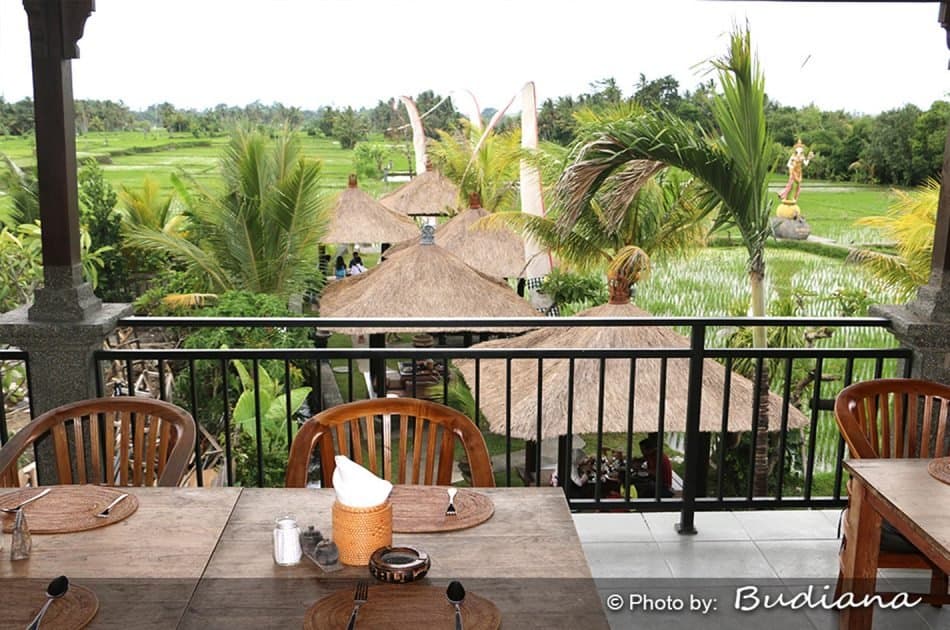 6 Hour Private Tour of Ubud, Monkey Forest, Barong and Rice Terraces With Lunch - Photo 44