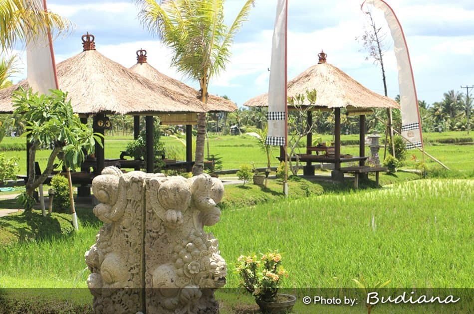 6 Hour Private Tour of Ubud, Monkey Forest, Barong and Rice Terraces With Lunch - Photo 45