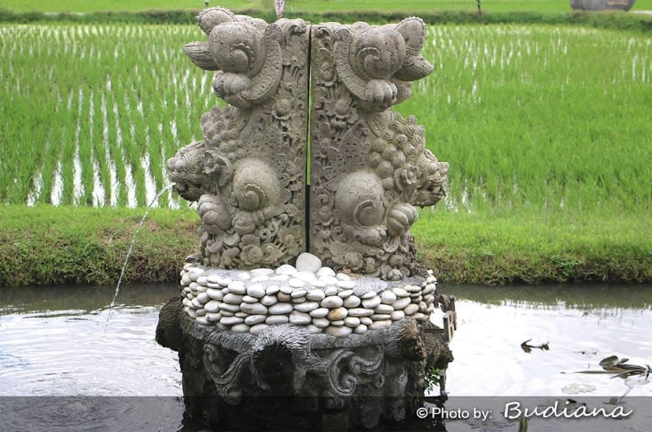 6 Hour Private Tour of Ubud, Monkey Forest, Barong and Rice Terraces With Lunch - Photo 49