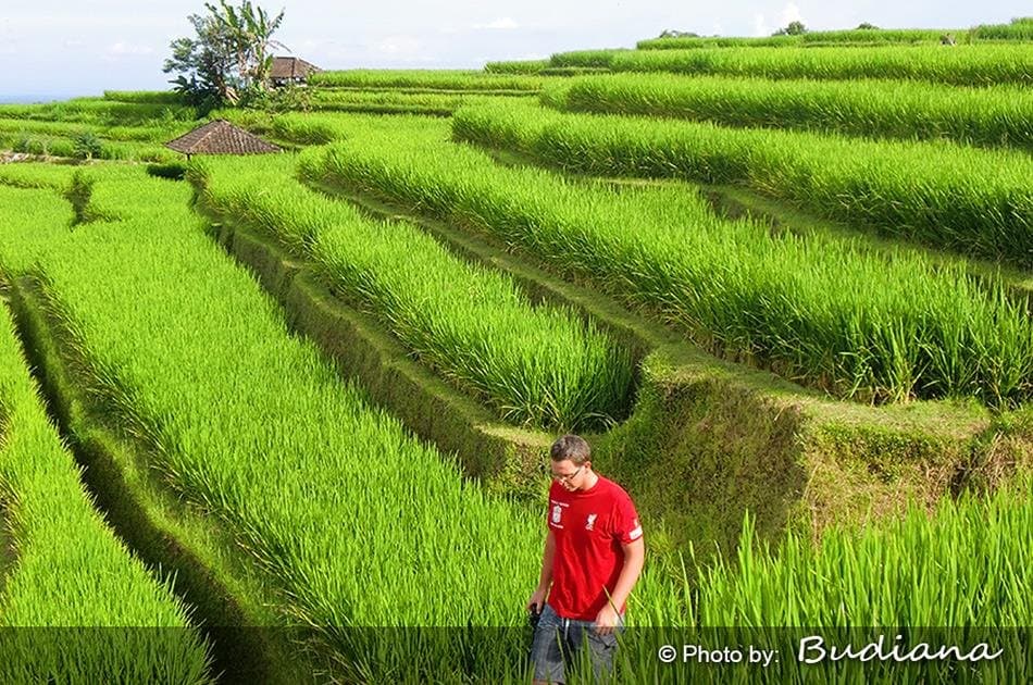 Bali 5 days Special Offer Private Ground Transport - Photo 36