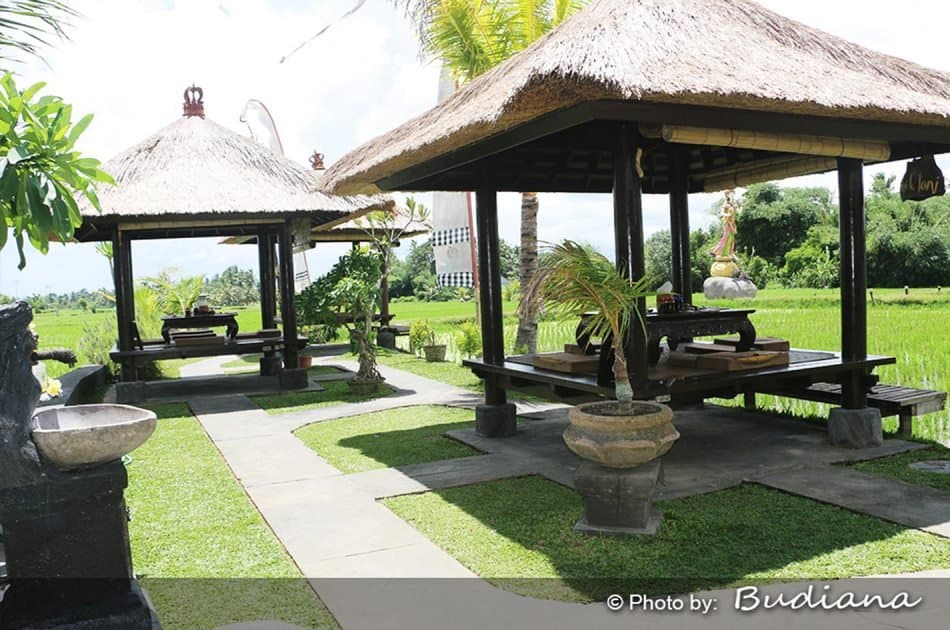 Bali 5 days Special Offer Private Ground Transport - Photo 66