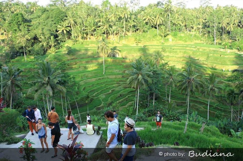 Bali 5 days Special Offer Private Ground Transport - Photo 93