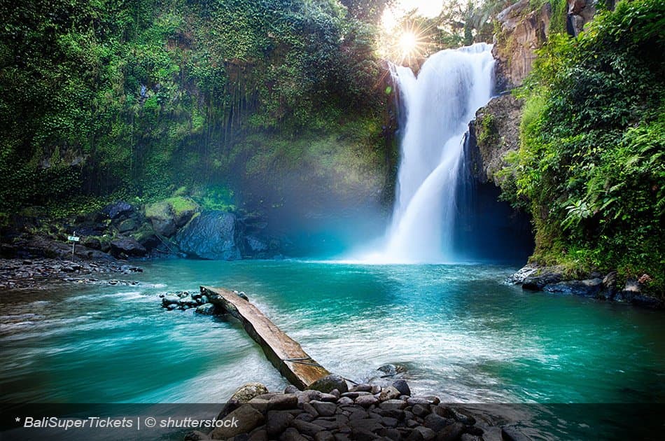 Bali 5 days Special Offer Private Ground Transport - Photo 98